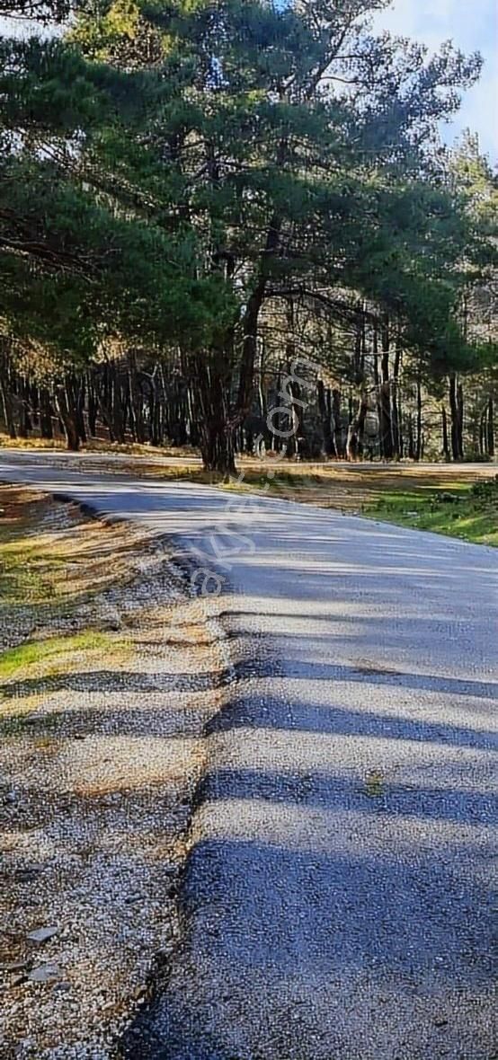 Bayındır Kızılcaağaç Satılık Konut İmarlı Bayındır Kızılağaç(ahmetli) Köyünde İmarlı Satılık Arsa