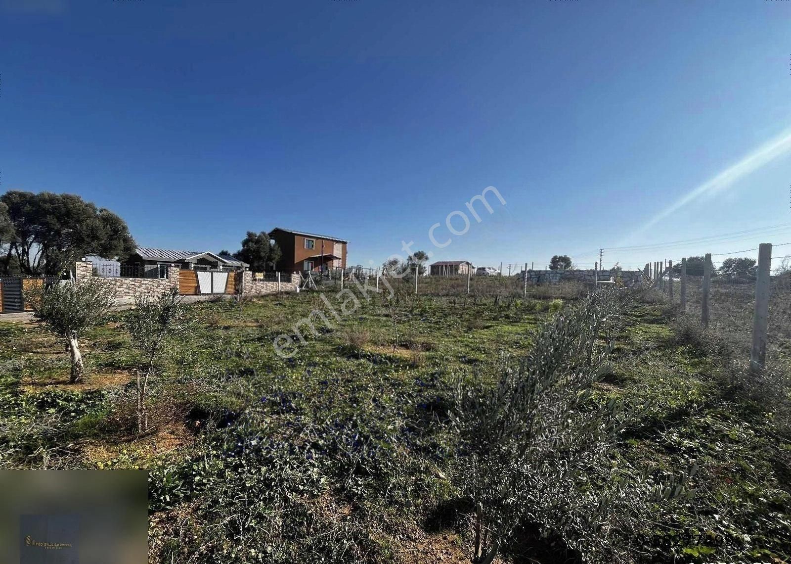 Menderes Çakaltepe Satılık Tarla Menderes Çakallarda Mirastan Bölme Tarla Zeytinlik