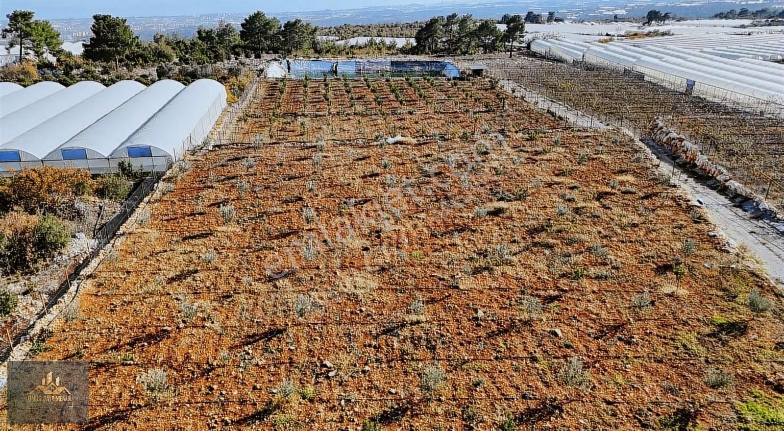 Erdemli Gücüş Satılık Müstakil Ev Onur Gayrimenkul'den Satılık Müstakil Ev