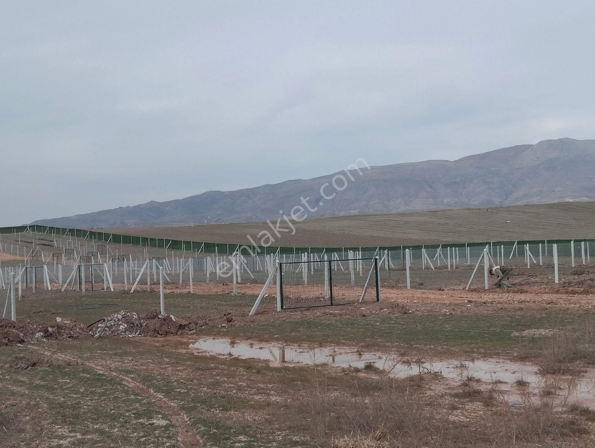 Sincan Anayurt Satılık Bağ & Bahçe Yılmaz Gayrimenkulden Sincana 15 Dakıka Mesafe Hazır Kurulu Düzen Satılık Hobi Bahceleri