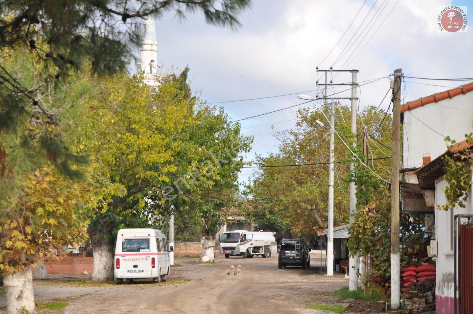 Biga Selvi Köyü Satılık Tarla Satılık Çanakkale Biga Selvide 1288 Mt Yol Cepheli Tarla