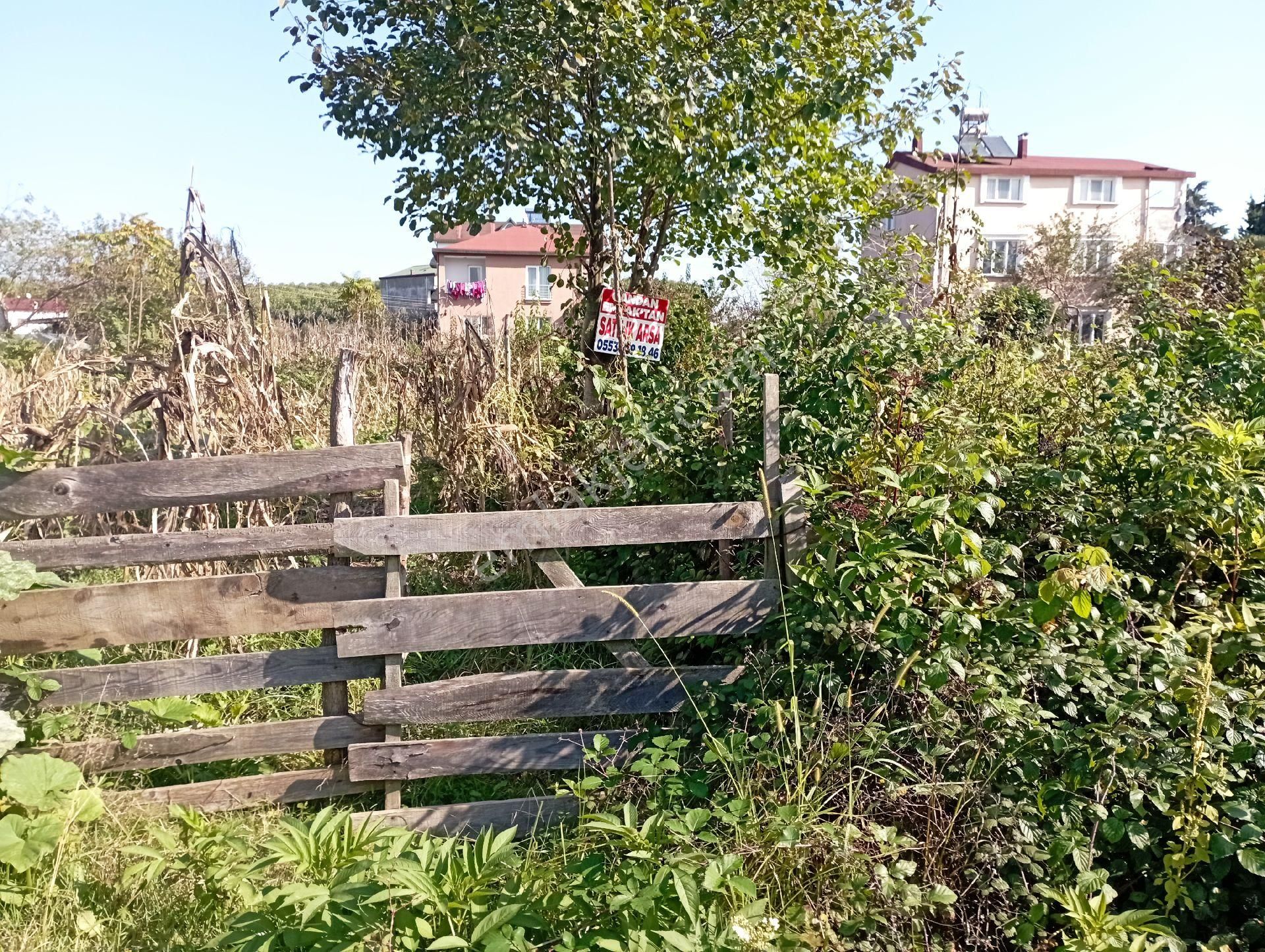 Terme Bahçelievler Satılık Konut İmarlı Satılık Arsa