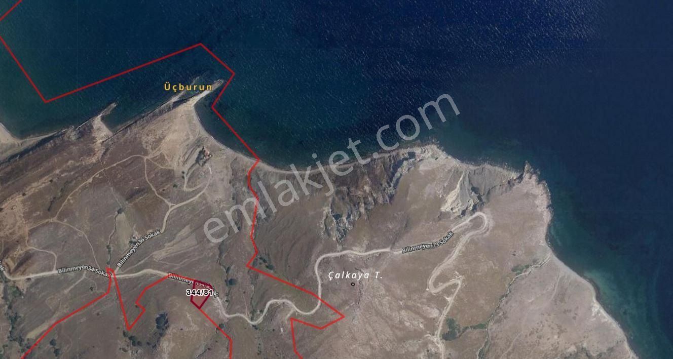 Gökçeada Kuzulimanı Satılık Arazi Çanakkele Gökçeada Kuzulimanı 2,888 M2 Tarım Arazisi