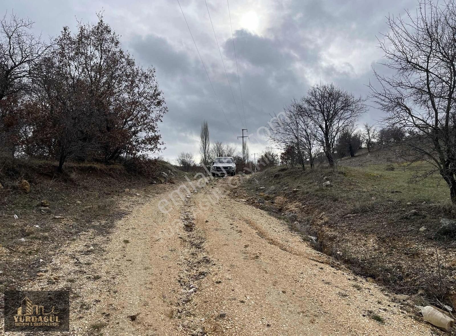 Odunpazarı Ayvacık Satılık Tarla Ayvacık'da Satılık Köy Yakını Tarla