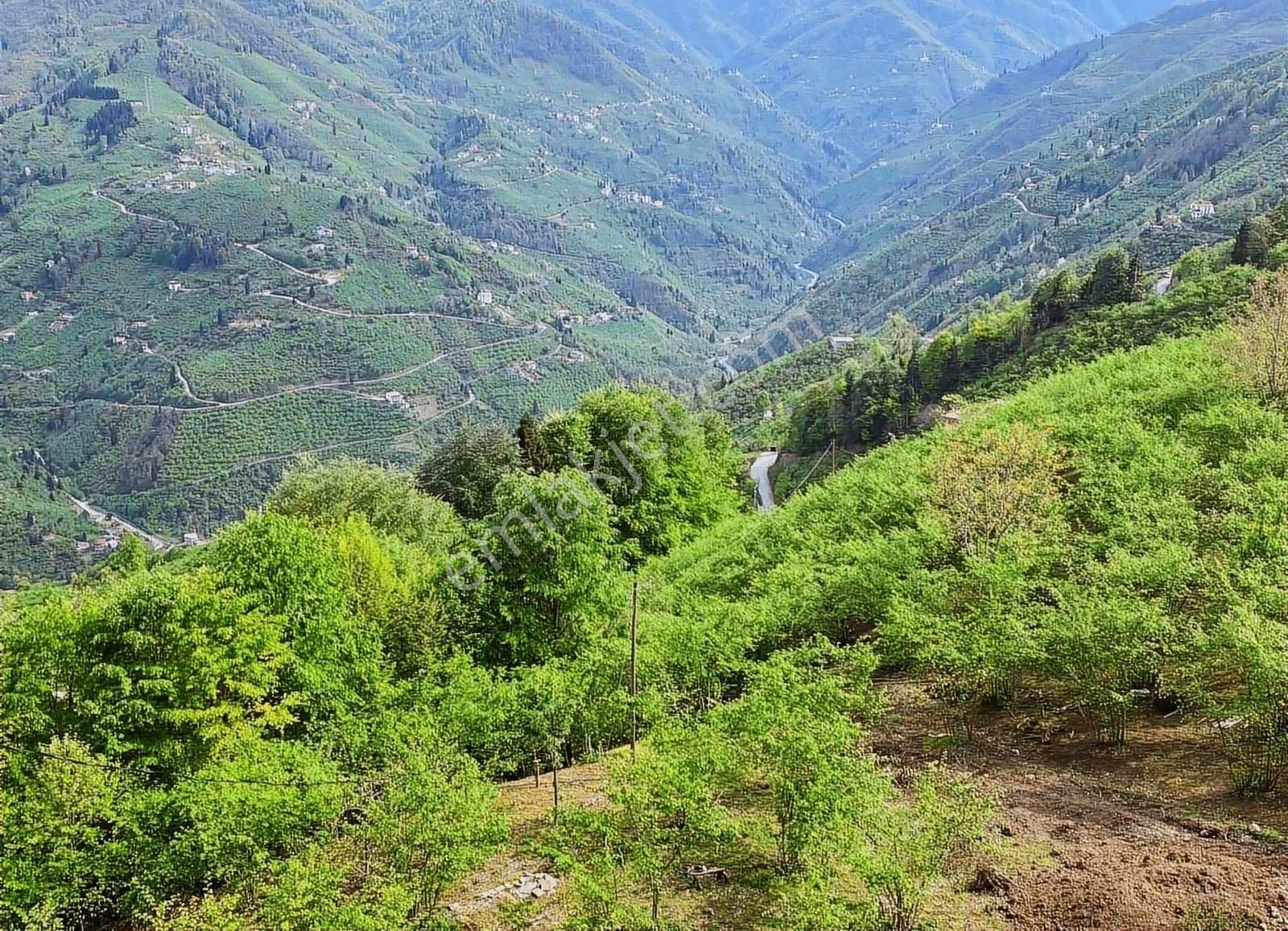 Yomra Kayabaşı Satılık Müstakil Ev Trabzon Yomrada Satılık Müstakil Ev