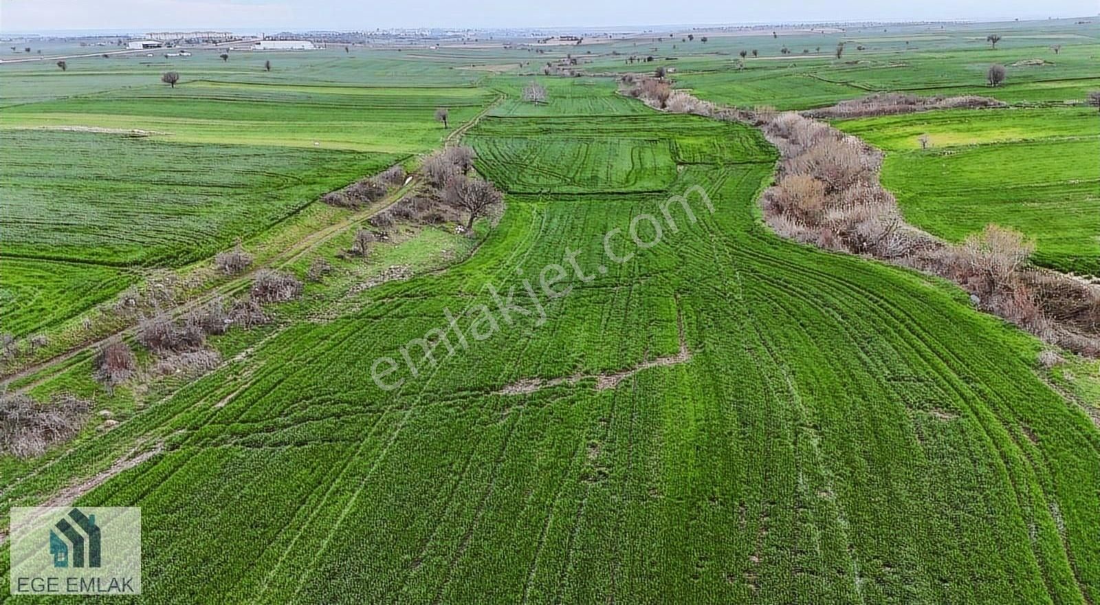 Enez Yenice Köyü Satılık Tarla Ege Emlak Enezde Yatırımlık 7300m2 Arazi