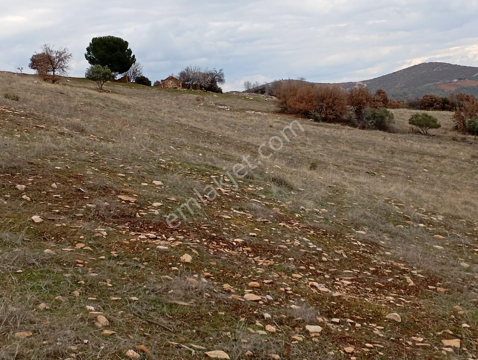 Salihli Hacıhıdır Satılık Tarla Manisa Salihli İlçesinde Satılık Boş Arazi