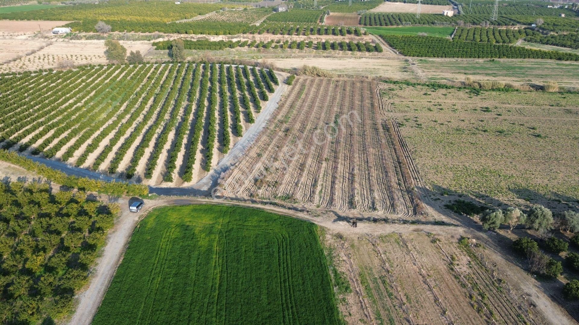 Tarsus Özlüce Satılık Tarla Özlüce Köyünde Tarsus Ck Emlak'tan 10.375 M2 Satılık Tarla