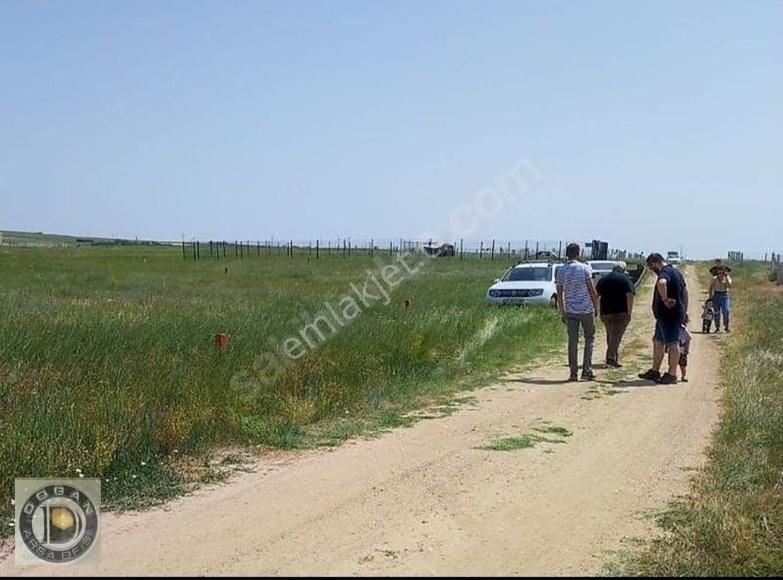 Silivri De İmarlı İfraz Çok Acil Satılık 265 Metre Son 1 Arsa - Görsel 10