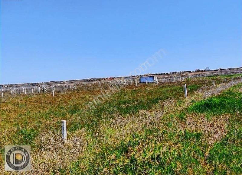 Silivri De İmarlı İfraz Çok Acil Satılık 265 Metre Son 1 Arsa - Görsel 11