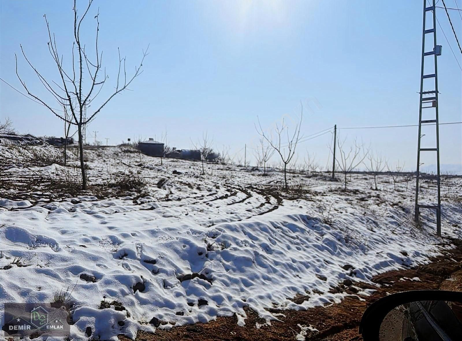 Yeşilyurt Bindal Satılık Bağ & Bahçe Yesılyurt Bindalda Satlık 3 Yasında Kaysı Bahcesi