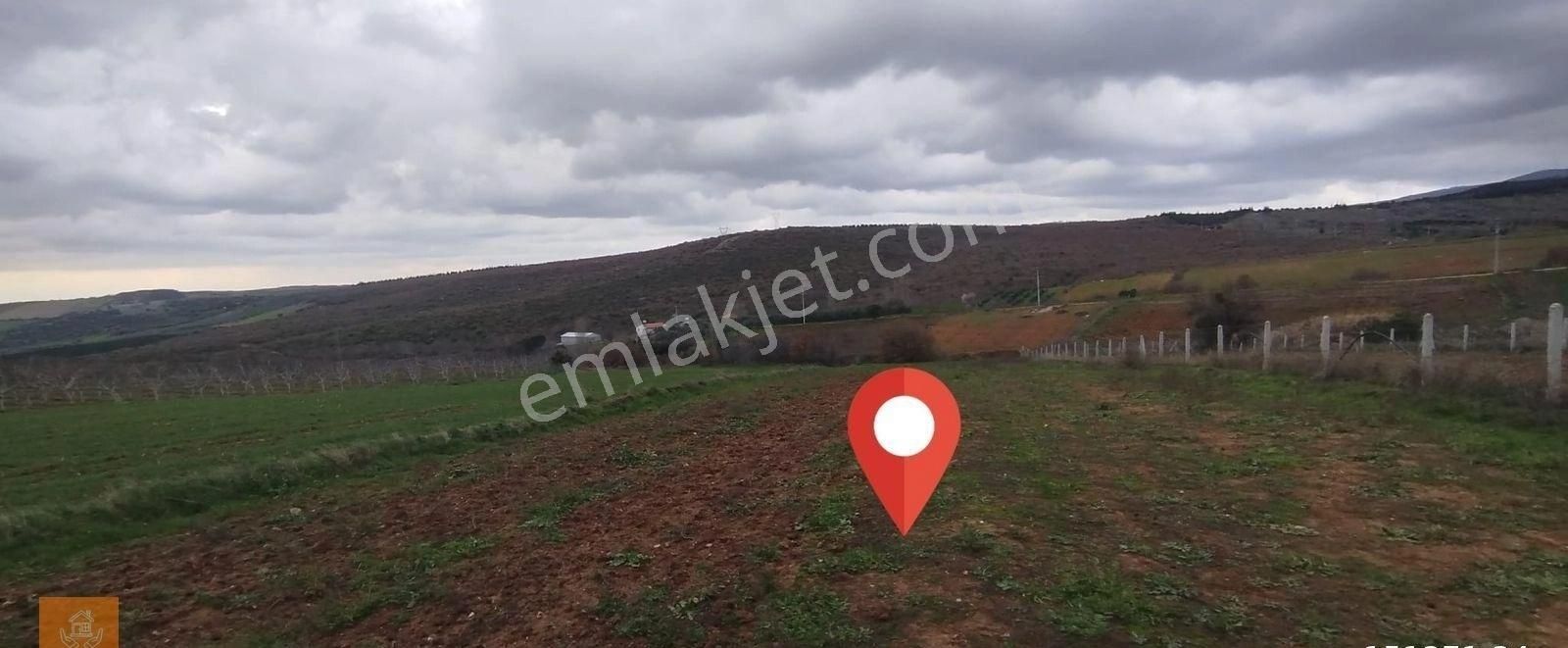 Karacabey Okçular Köyü Köyiçi Satılık Tarla - Görsel 17