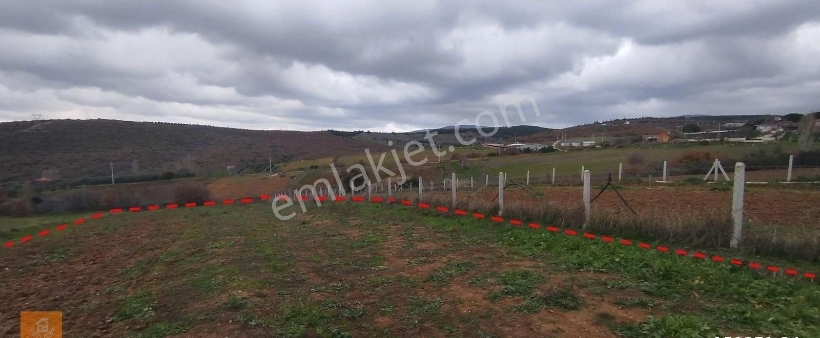 Karacabey Okçular Köyü Köyiçi Satılık Tarla - Görsel 3