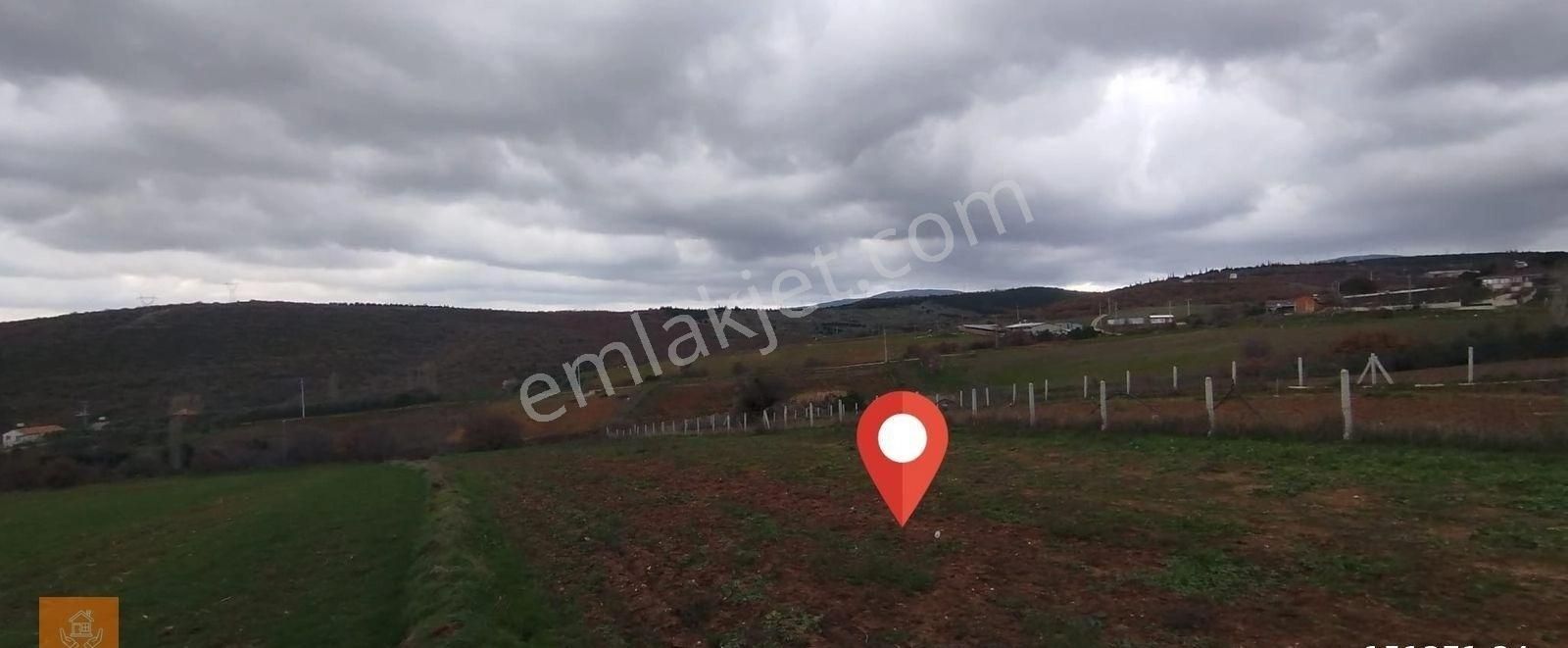 Karacabey Okçular Köyü Köyiçi Satılık Tarla - Görsel 9