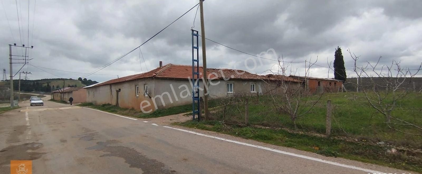 Karacabey Okçular Köyü Köyiçi Satılık Tarla - Görsel 2