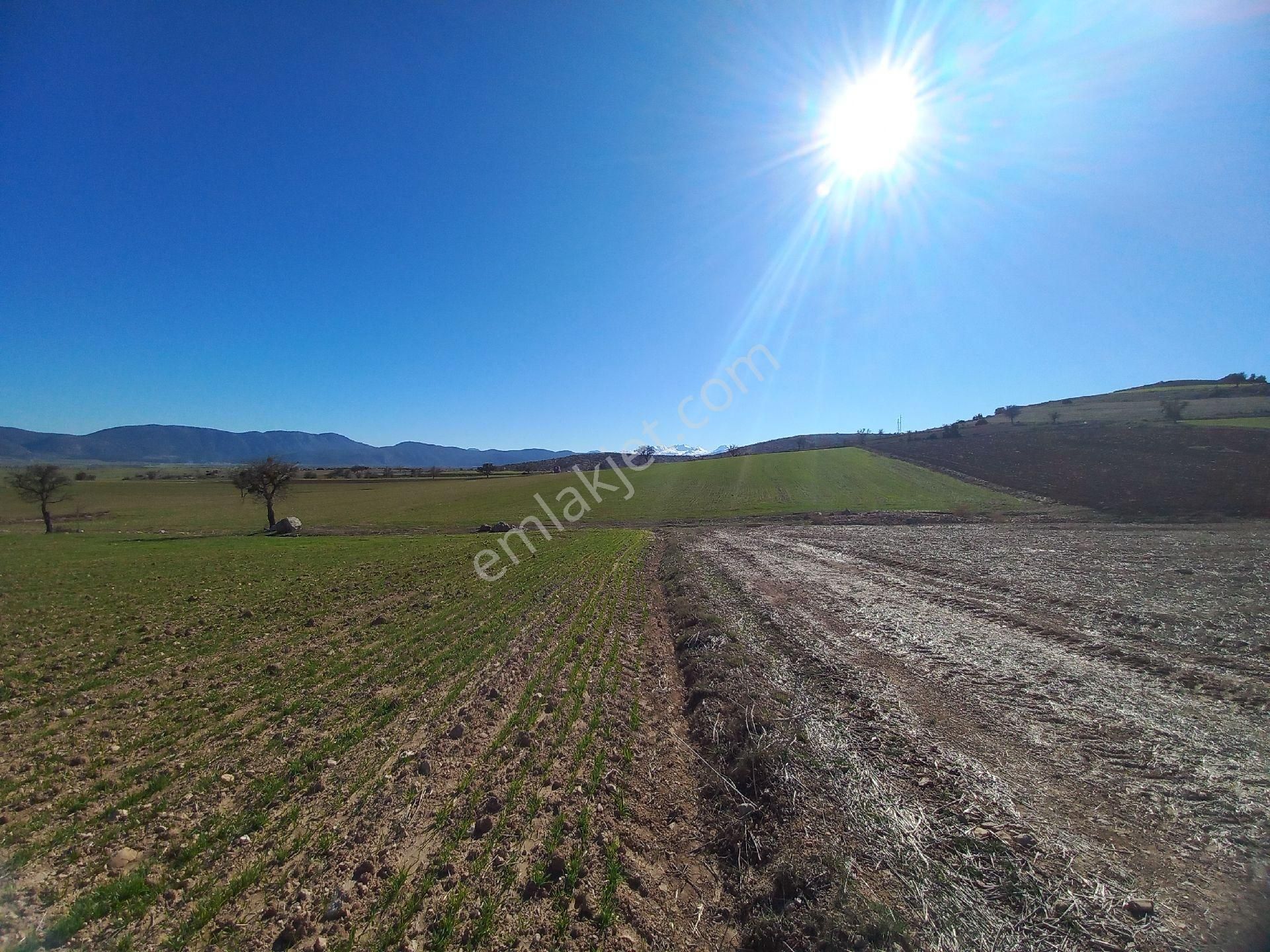 Korkuteli Büyükköy Mahallesinde Tek Tapulu Tarla - Yol Problemi Yok - Görsel 7