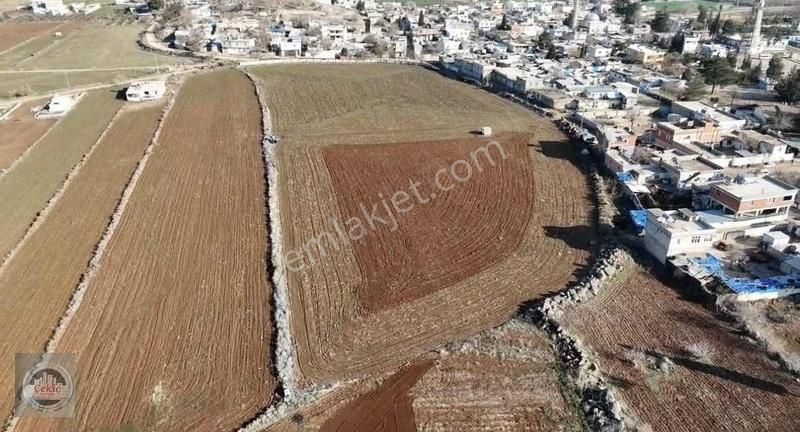 Kilis Merkez Yavuzlu Köyü (Ali Gün) Satılık Tarla Yavuzluda Sulu 25 Dönüm Tarla