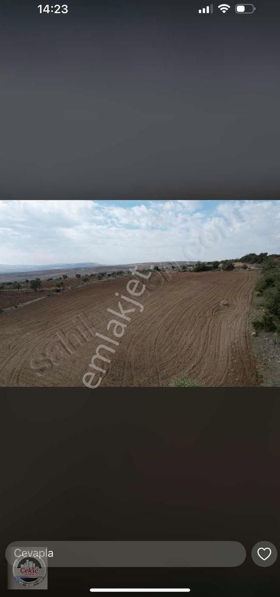 Kilis Merkez Öncü Pınar Satılık Tarla Uygun Arazi Satlık Çekiç Emlaktan