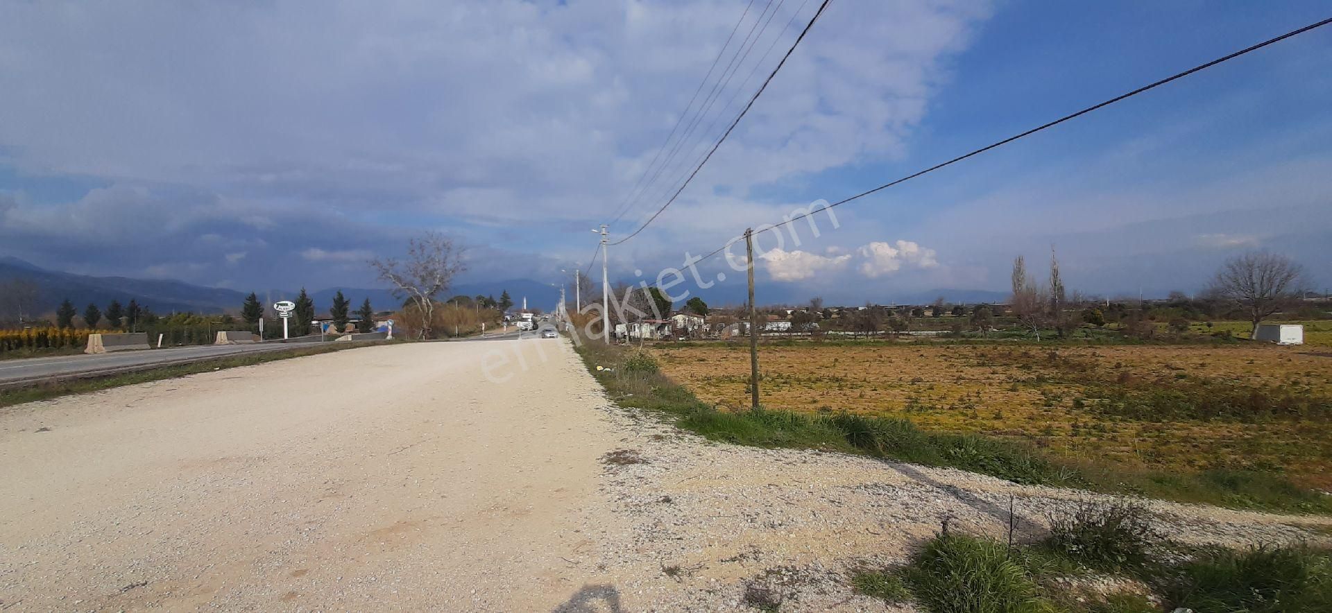 Ödemiş Yeniköy Satılık Tarla Ana Asfalt Üzeri Vıtrınlık Satılık Tarla