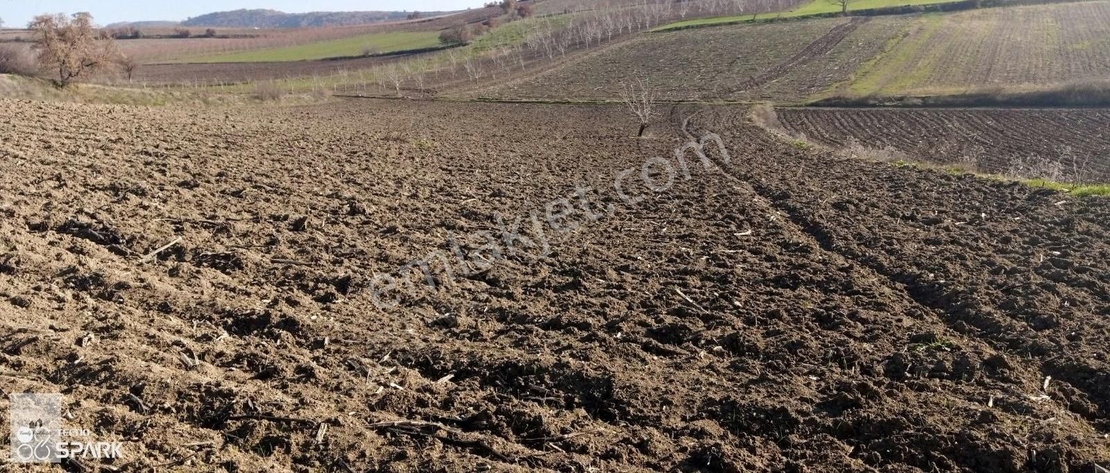 Yenişehir Kavaklı Satılık Tarla Bursa Yenişehir Kavaklı Mah. Satılık 5.200 M² Konumu Güzel Arazi