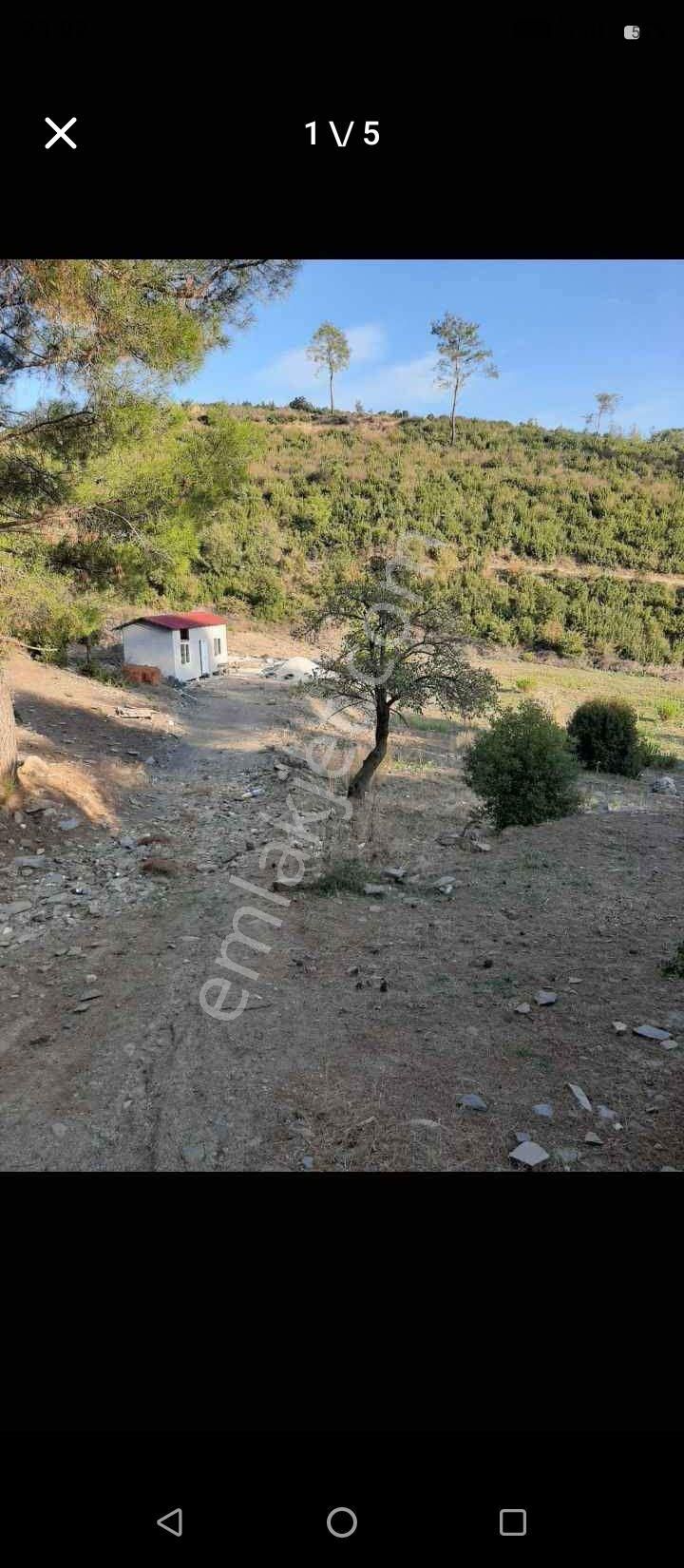 Yatağan Yayla Satılık Tarla Yatağan Yayla Köyde Fırsat Arazi