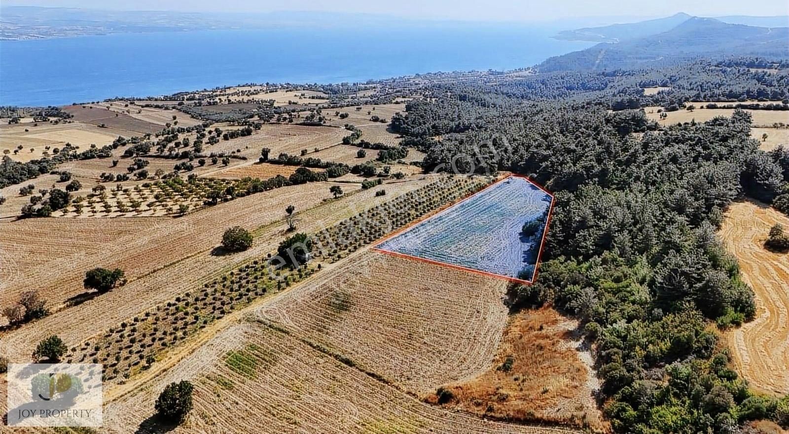 Gelibolu Burhanlı Köyü (Damlar) Satılık Tarla Onur Dan Yatırımlık Arsa Çanakkale Gelibolu Burhanlı Da