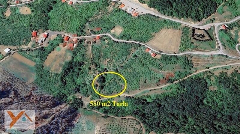 Canik Yeniköy Satılık Tarla Canik Yeniköy'de Yol Kenarı Satılık Tek Tapu 580 M2 Tarla