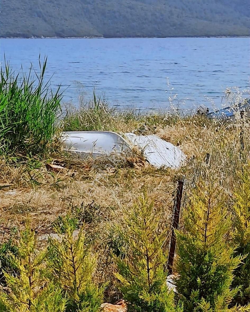 Menteşe Kuyucak Satılık Tarla Akyakanın İncisi Çınar Koyda Yola Sıfır Fırsat Arazi