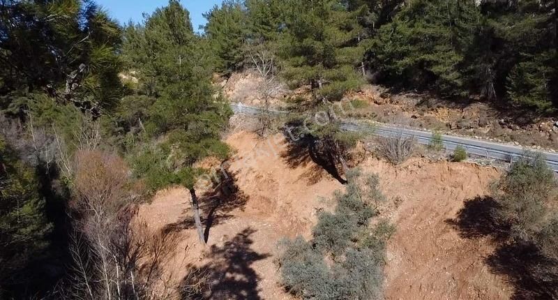 Menteşe Emirbeyazıt Satılık Tarla Doğa İçinde Dere Kenarında Yola Sıfır İçinde Kuyusu Olan Arazi