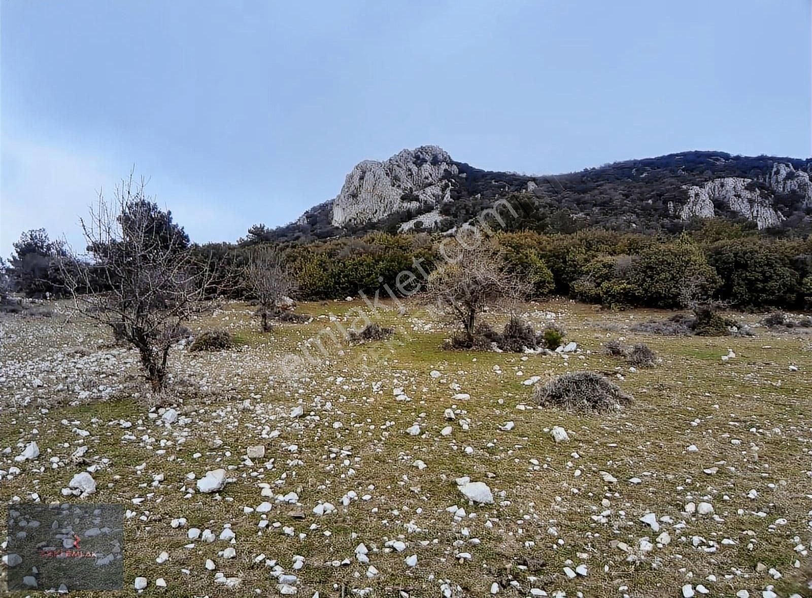 Yunusemre Akgedik Satılık Tarla Zeki Emlak'tan Yunusemre Akgedik'de 18.200 M² Yatırımlık Arazi