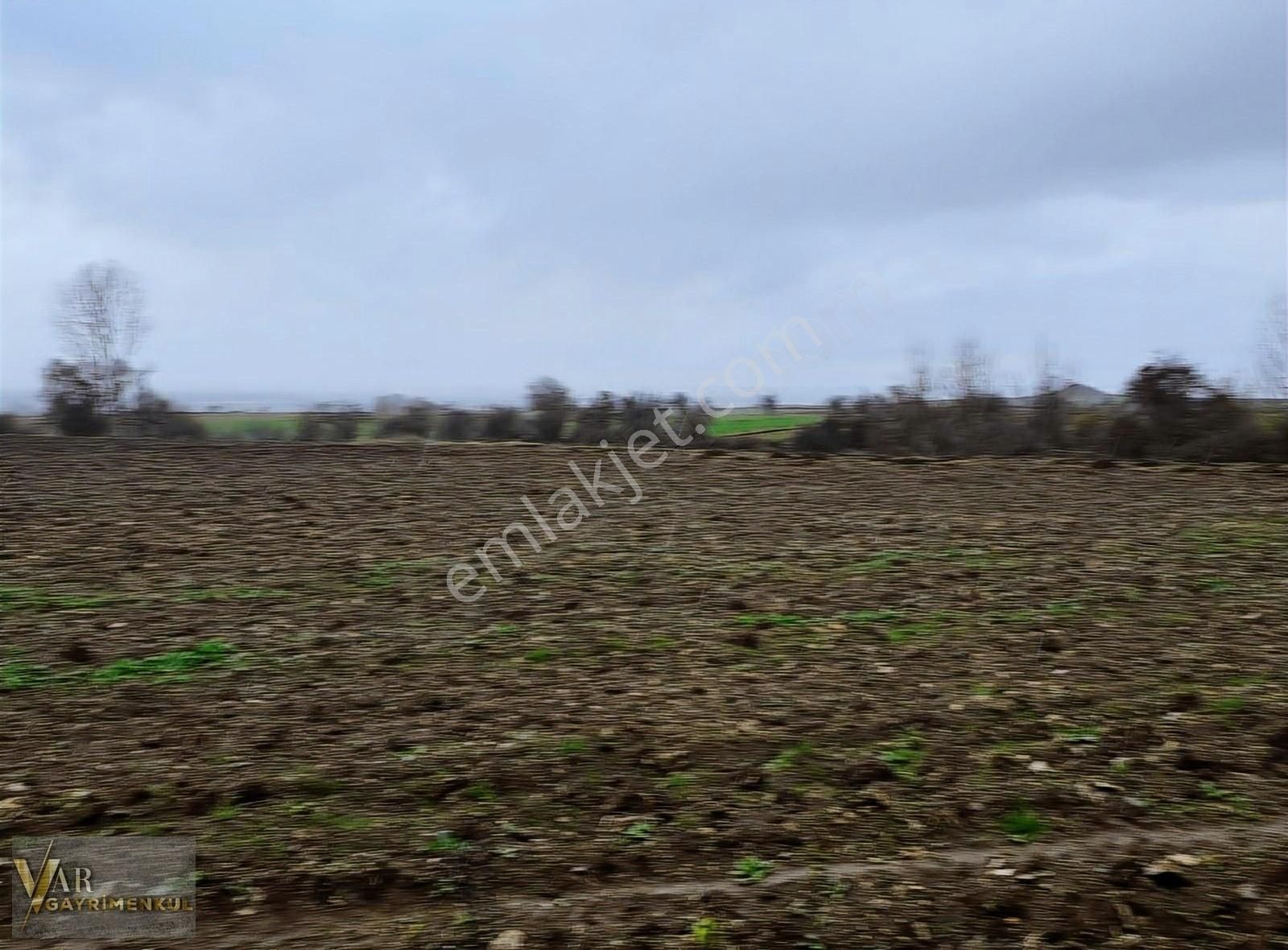 Vize Evrenli Köyü Satılık Tarla Vıze Evrenlıde Köye Yakın 2059 M2 Ister Tek Tapu Ister 5 Hısse !