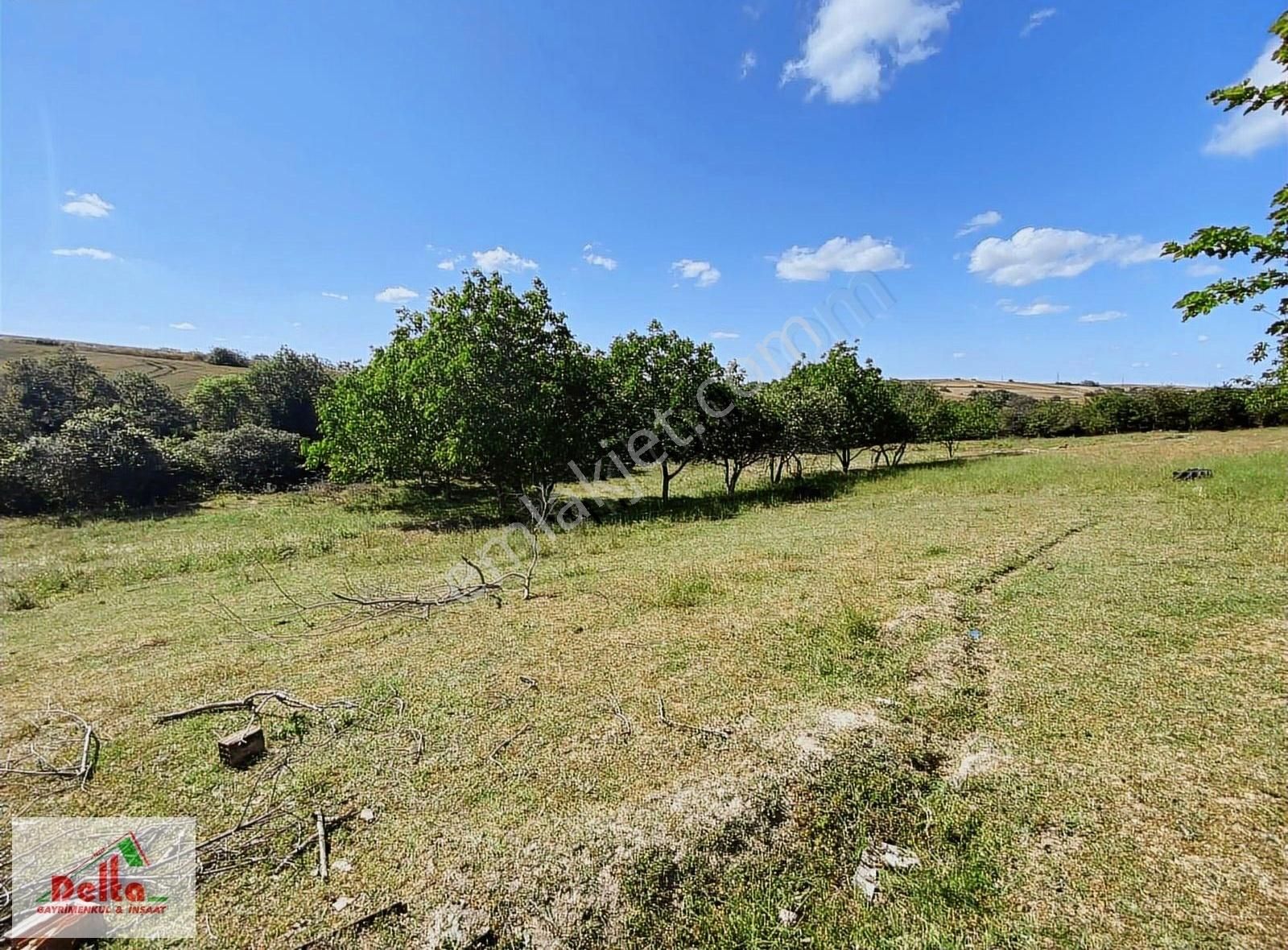 Çorlu Önerler Satılık Tarla Önerlerde Acil Yerleşim Alanında Planında 14800m2 Müstakil Arazi