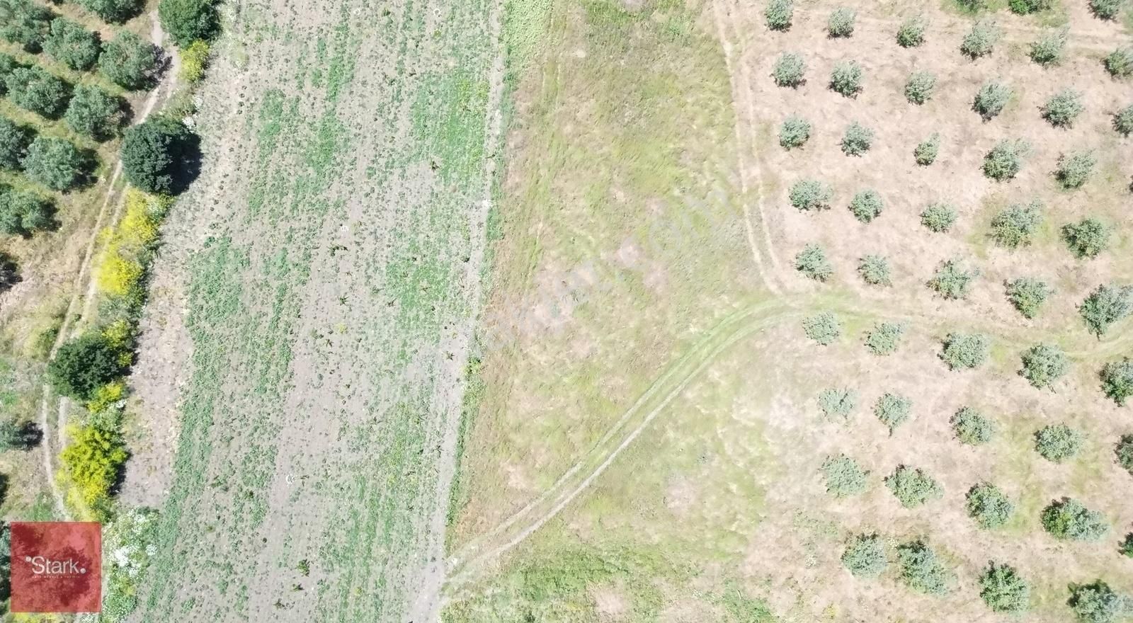 Mudanya Hançerli Satılık Tarla Mudanya Hançerli 1950m2 Tek Tapu Satılık Fırsat Tarla