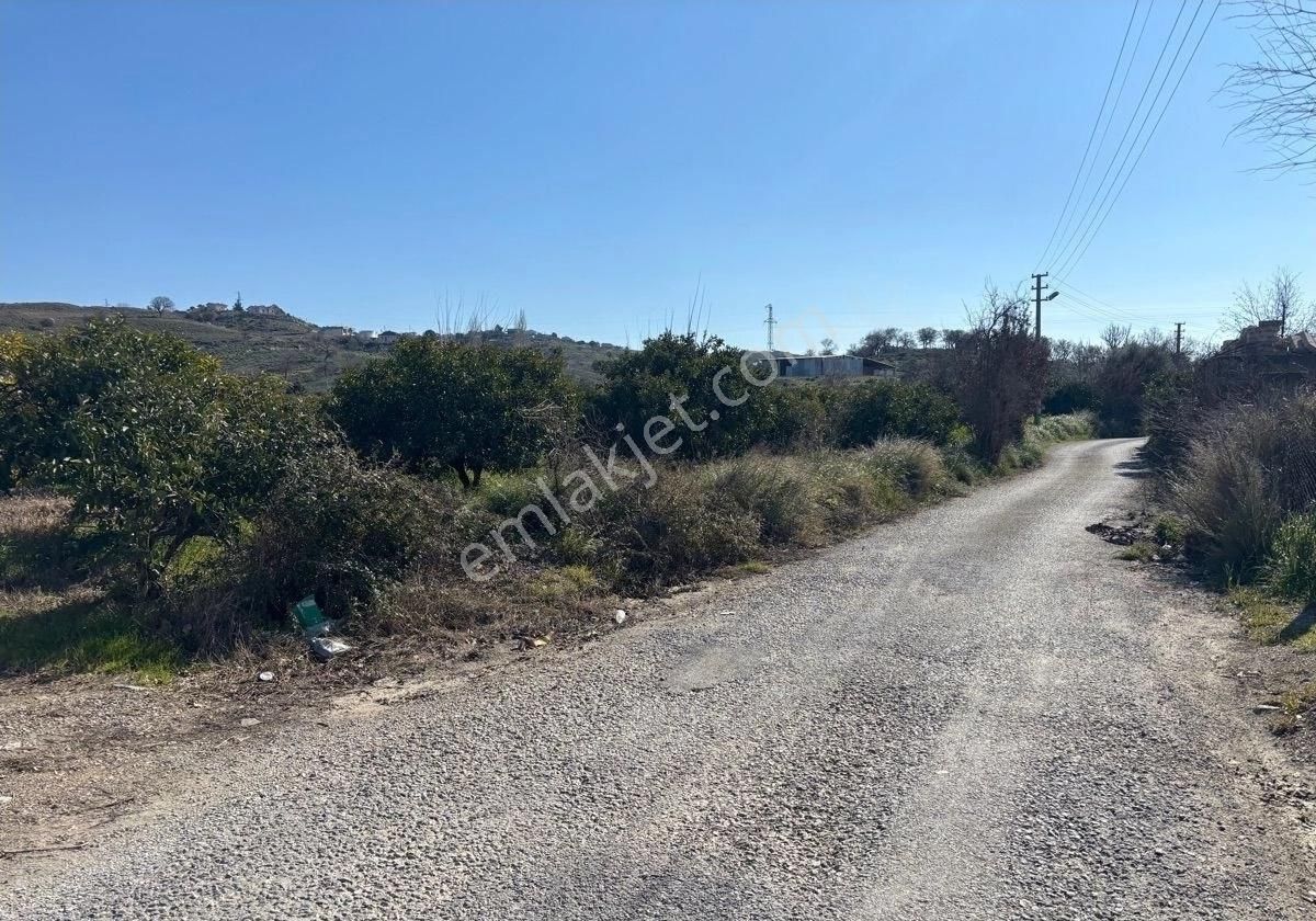 Seferihisar Tepecik Mh De 12,859m2 Narenciye Bahçesi - Görsel 8