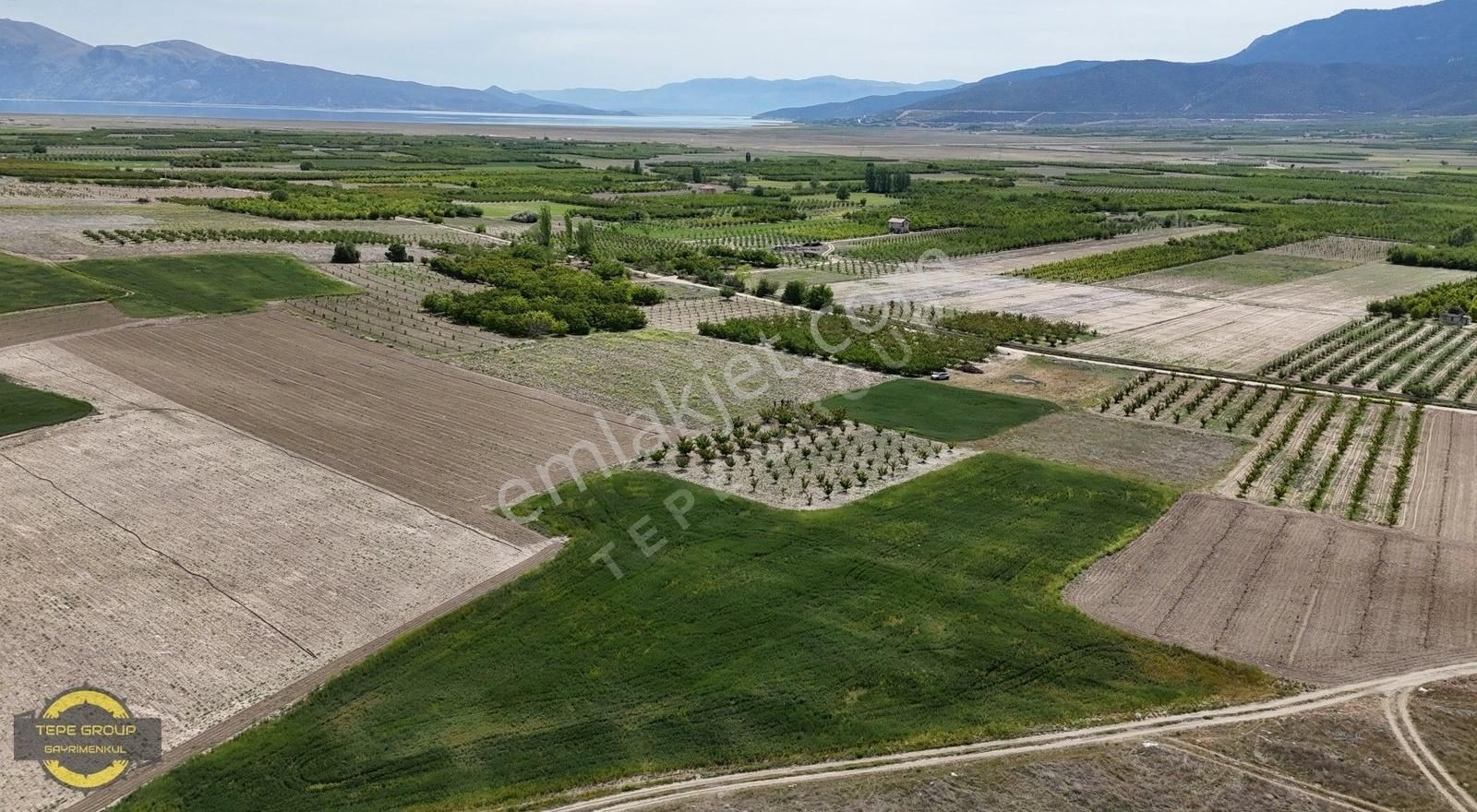 Senirkent Büyükkabaca Bld. (Sultan Süleyman) Satılık Tarla Senirkent Büyükkabaca 1535 M2 Tek Tapu Satılık Kaysı Bahçesi