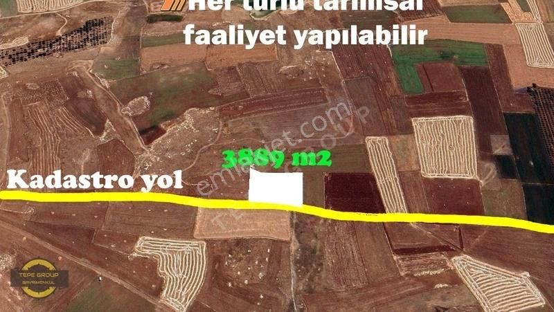 Korkuteli Kırkpınar Satılık Tarla Korkuteli Kırkpınarda Kadastral Yolu Olan Takaslı Satılık Tarla