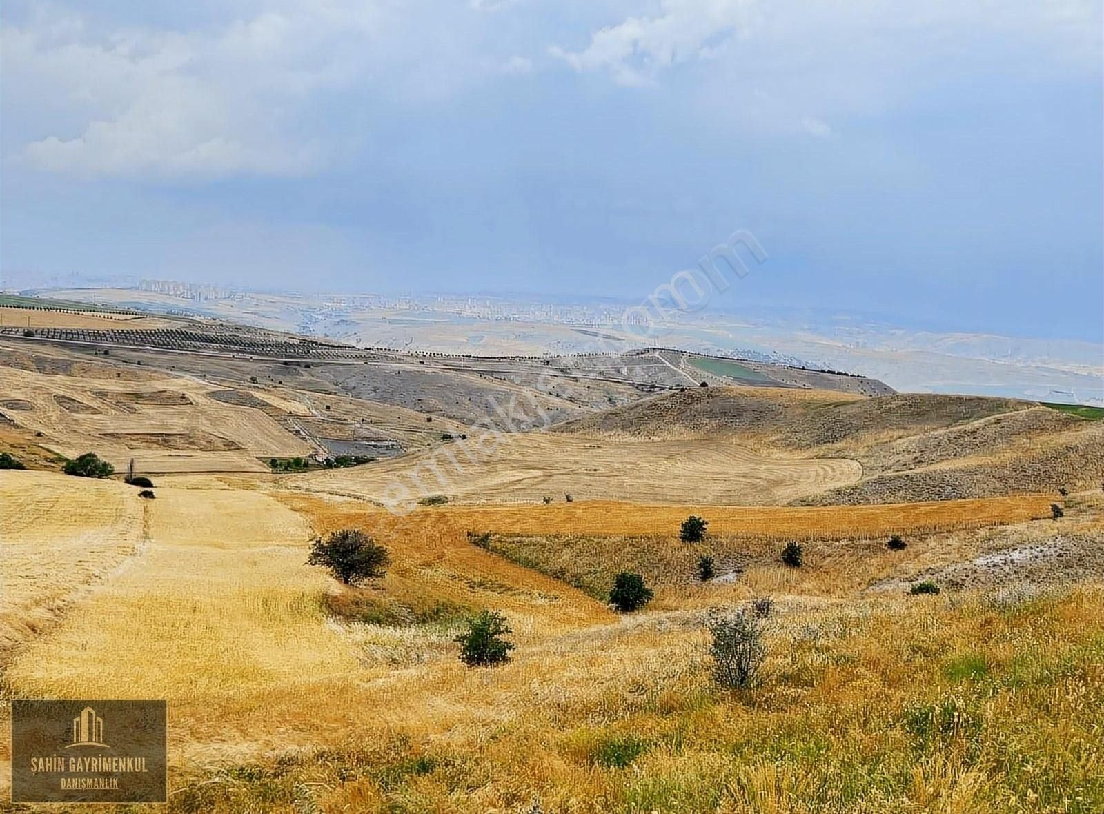 Altındağ Gicik Satılık Bağ & Bahçe Ankaranın Balkonu Gicikte 280 M2 Tapulu Asfalta 2 Parsel Arsa