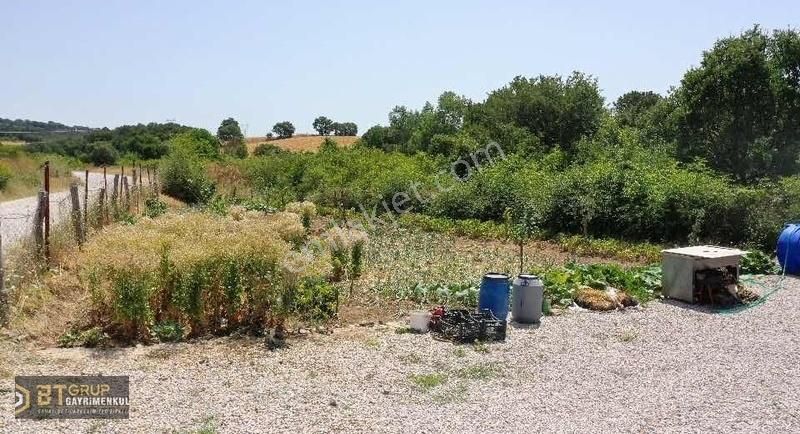 Çan Çamköy Köyü Satılık Tarla Bt Grup' Tan Tinyhouse Ve Bahçesi