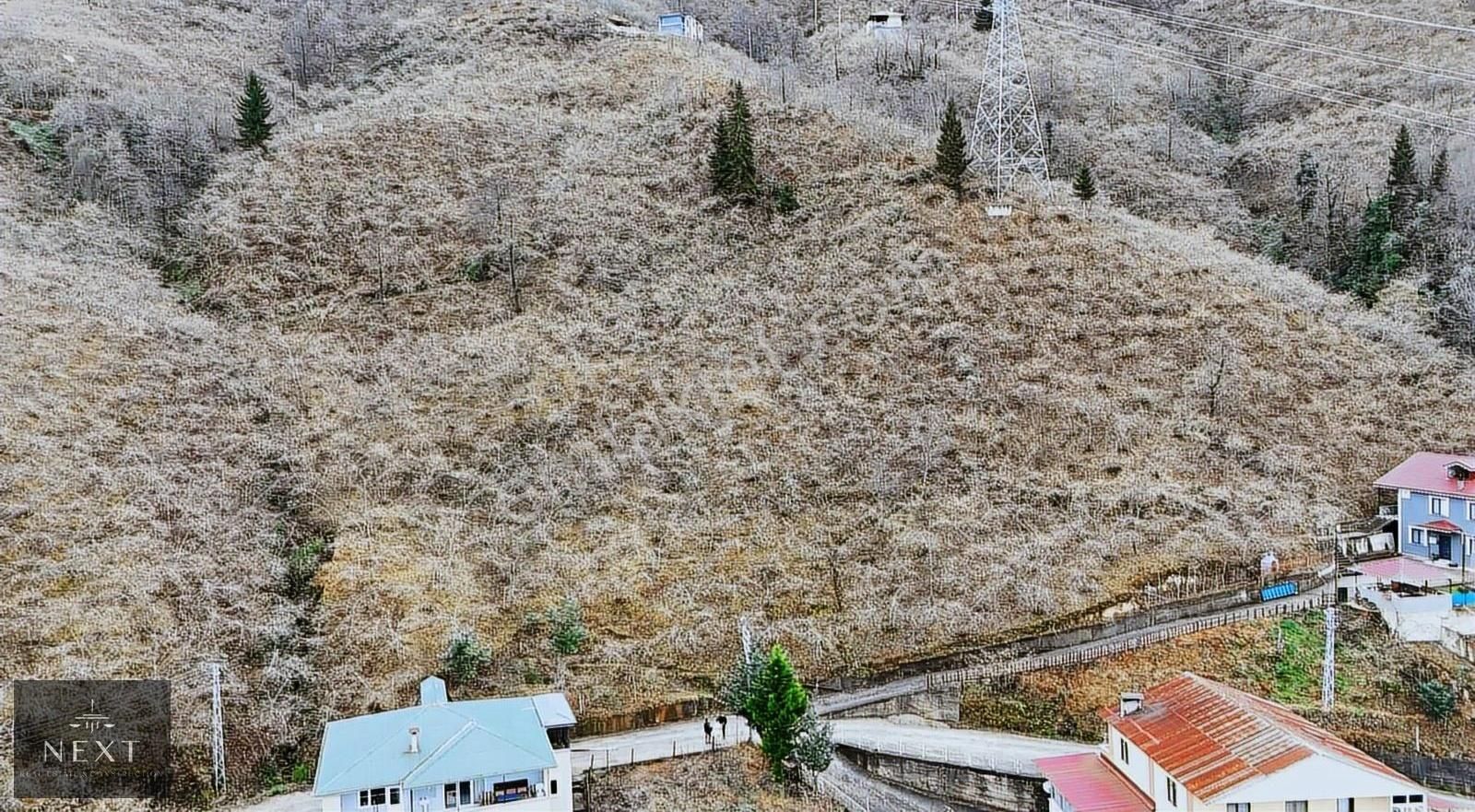 Arsin Elmaalan Satılık Tarla Arsin Elmaalan'da Satılık Arsa