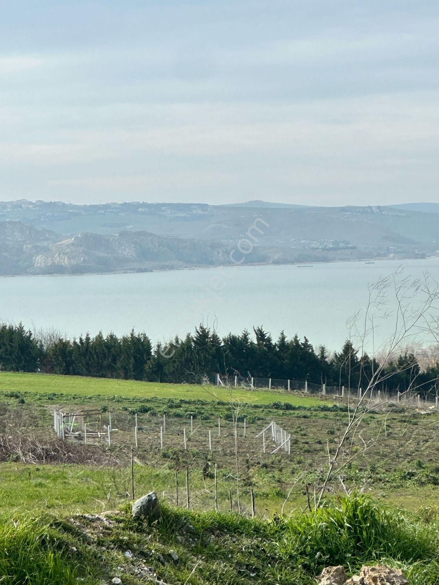 Büyükçekmece Mimar Sinan Merkez Satılık Tarla Büyükçekmece Merkez 200m2 Çap Muvafakatnameli Deniz Manzaralı Yatırımlık Kupon Arsa