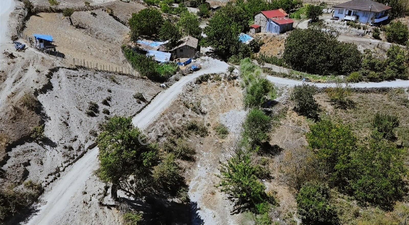 Geyve Taşoluk Satılık Tarla Sng Gayrimenkul'den Taşoluk Mah. İmarlı Arsa