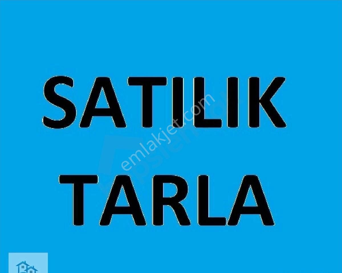 Sarayköy Bala Satılık Tarla Denizli Sarayköy Bala Mahallesinde  Satılık 8,5 Dönüme Yakın Pamuk Tarlası