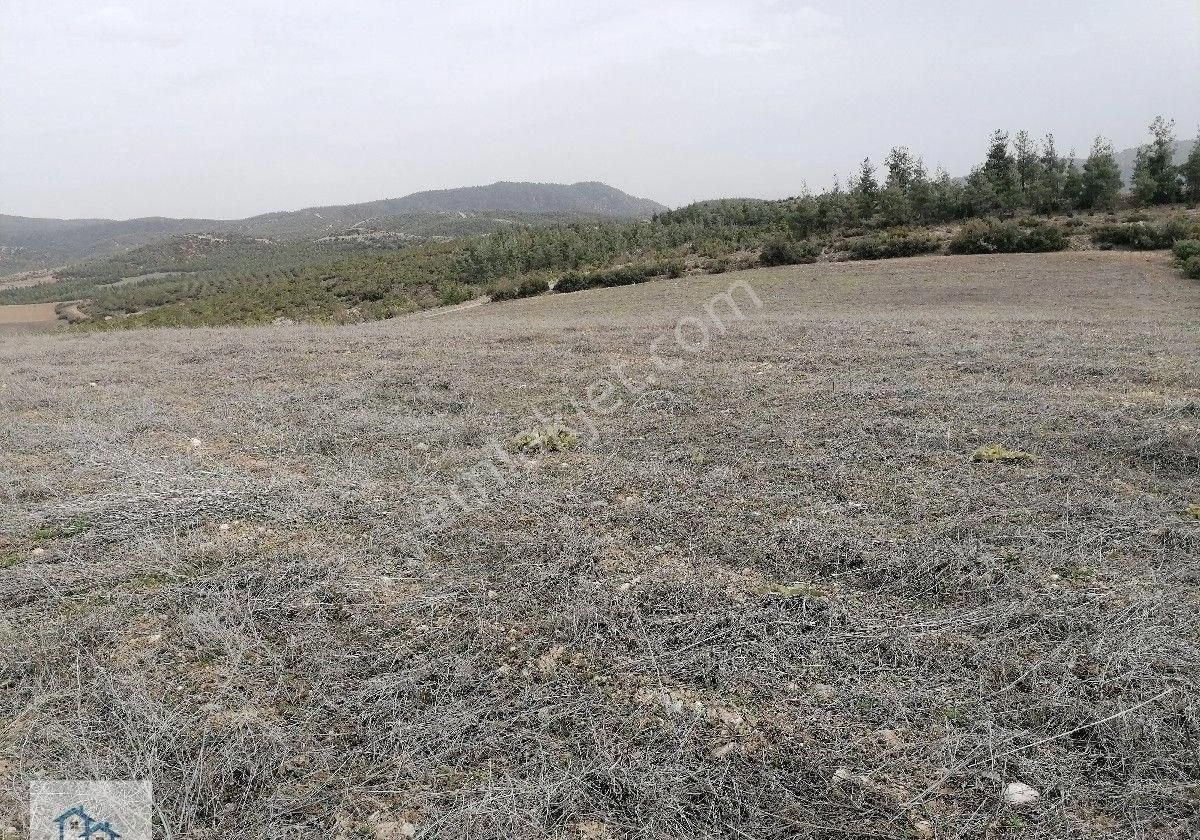 Bozkurt Alikurt Satılık Tarla Ali Kurt Mahallesinde Satılık 10 Dönüm Tarla