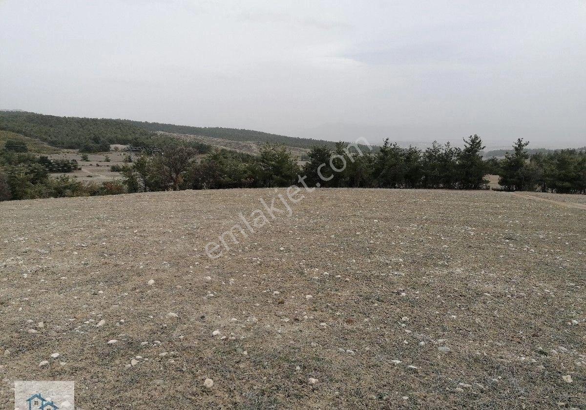 Bozkurt Baklankuyucak'ta Marjinal Raporu Alınmış Satılık Arazi - Görsel 6