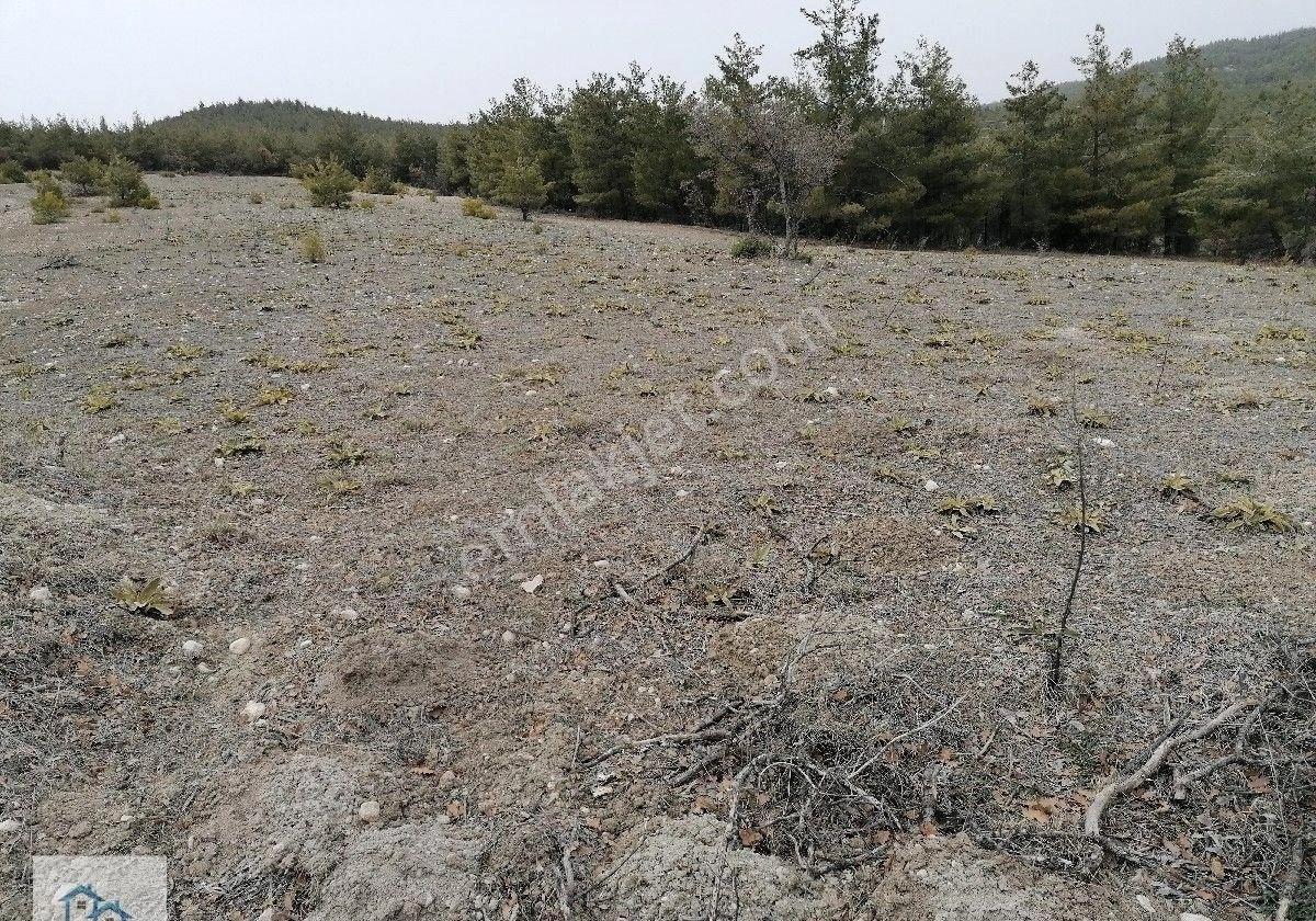Bozkurt Baklankuyucak'ta Marjinal Raporu Alınmış Satılık Arazi - Görsel 7