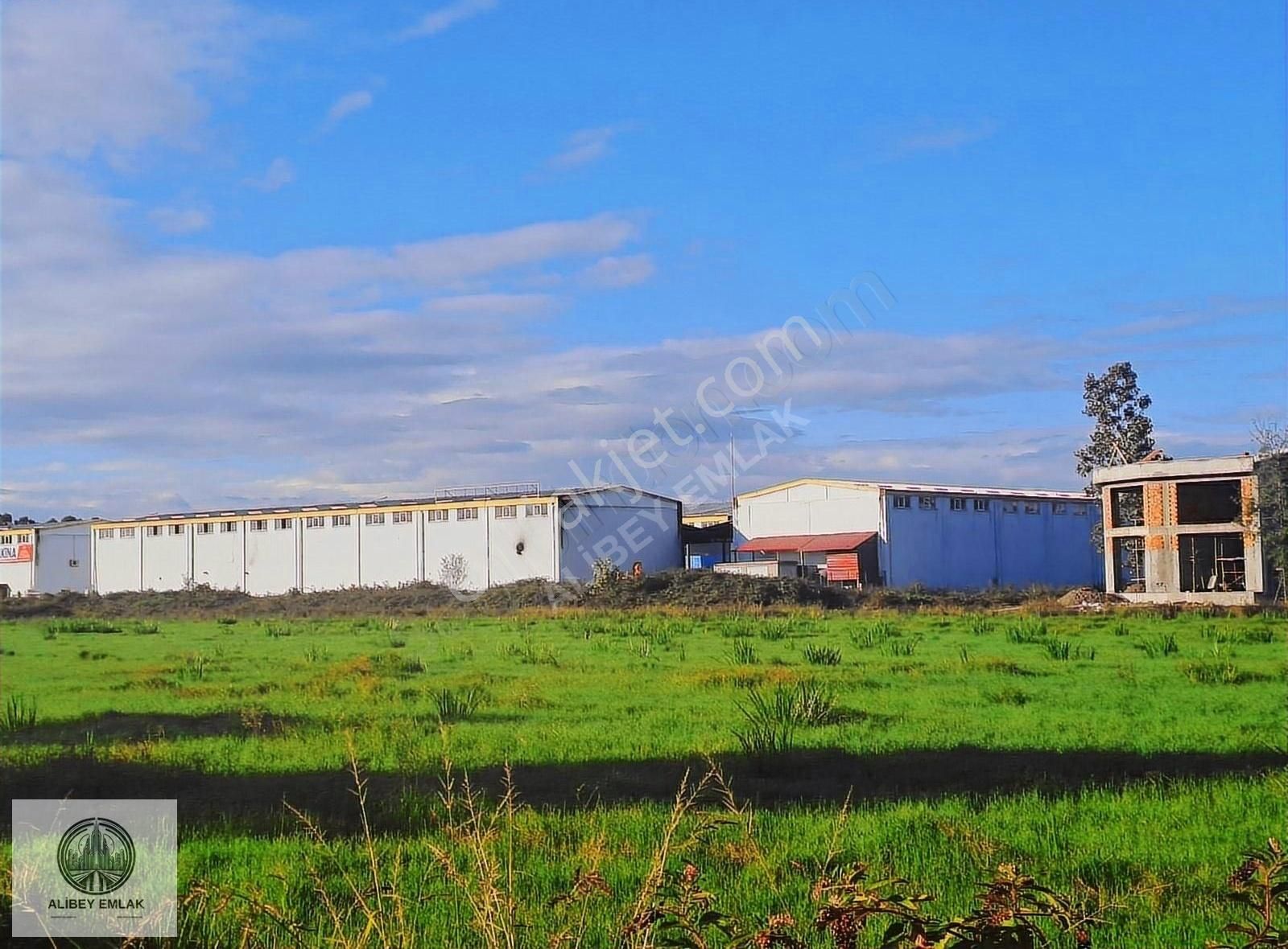 Terme Çay Satılık Ticari İmarlı Alibey'den Terme Sanayiinde Satılık Ticari İmarlı Arsa