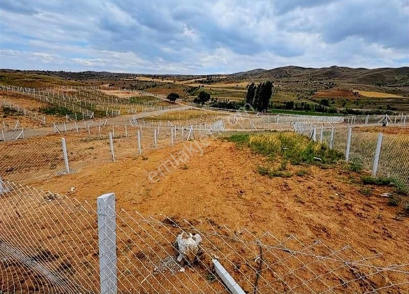 Sivas Merkez İnceağa Köyü Satılık Sanayi İmarlı Beta Gayrimenkul'den İnceağa (kızılkavraz) Satılık 400m2 Bahçe