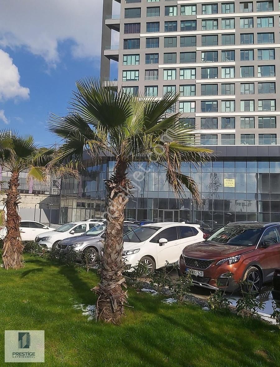 Bahçelievler Yenibosna Merkez Kiralık Ofis Prestige24'de 1+1 Ofis