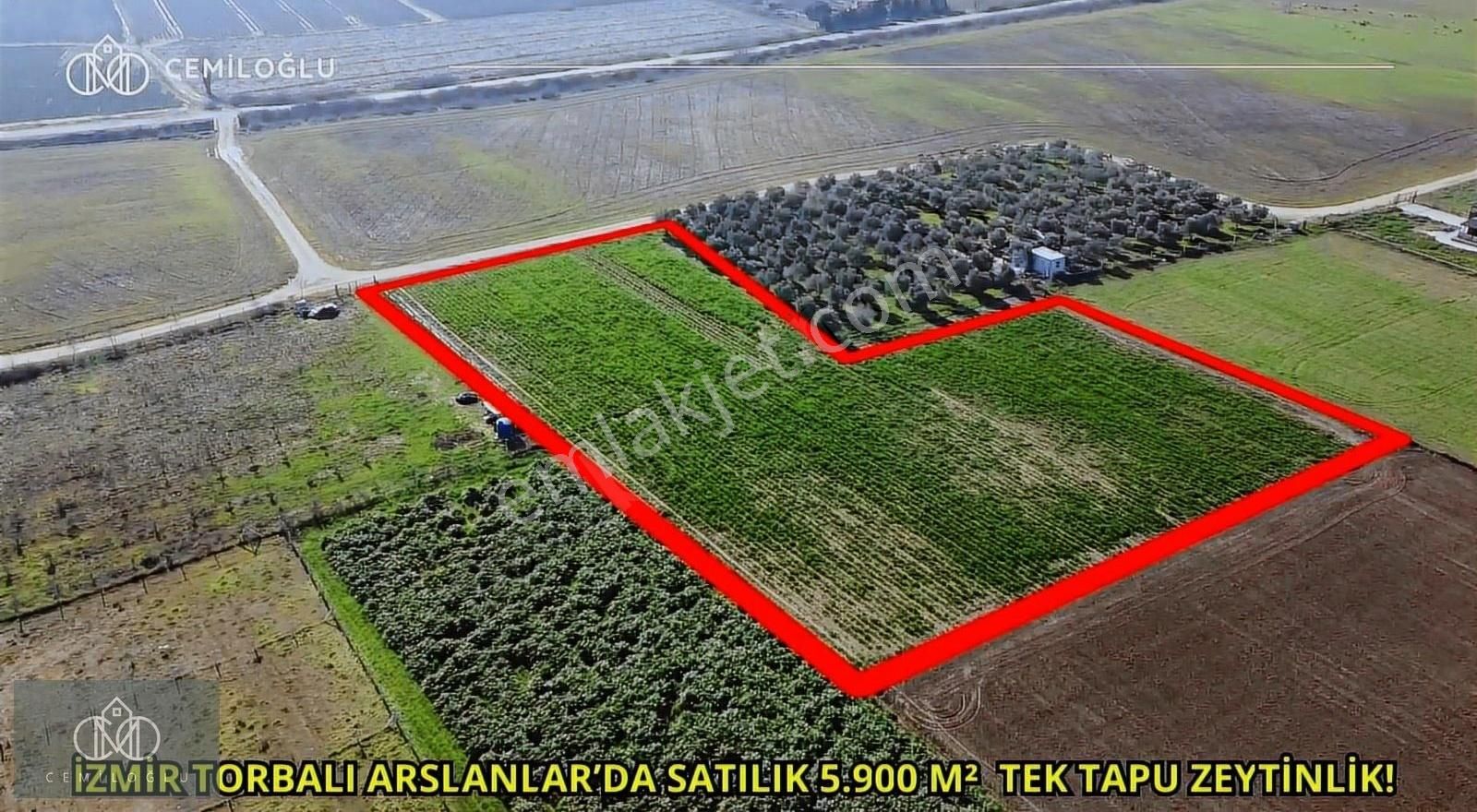 Torbalı Arslanlar Satılık Tarla İzmir Torbalı Arslanlar'da Tek Tapu 6 Dönüm Tarla!