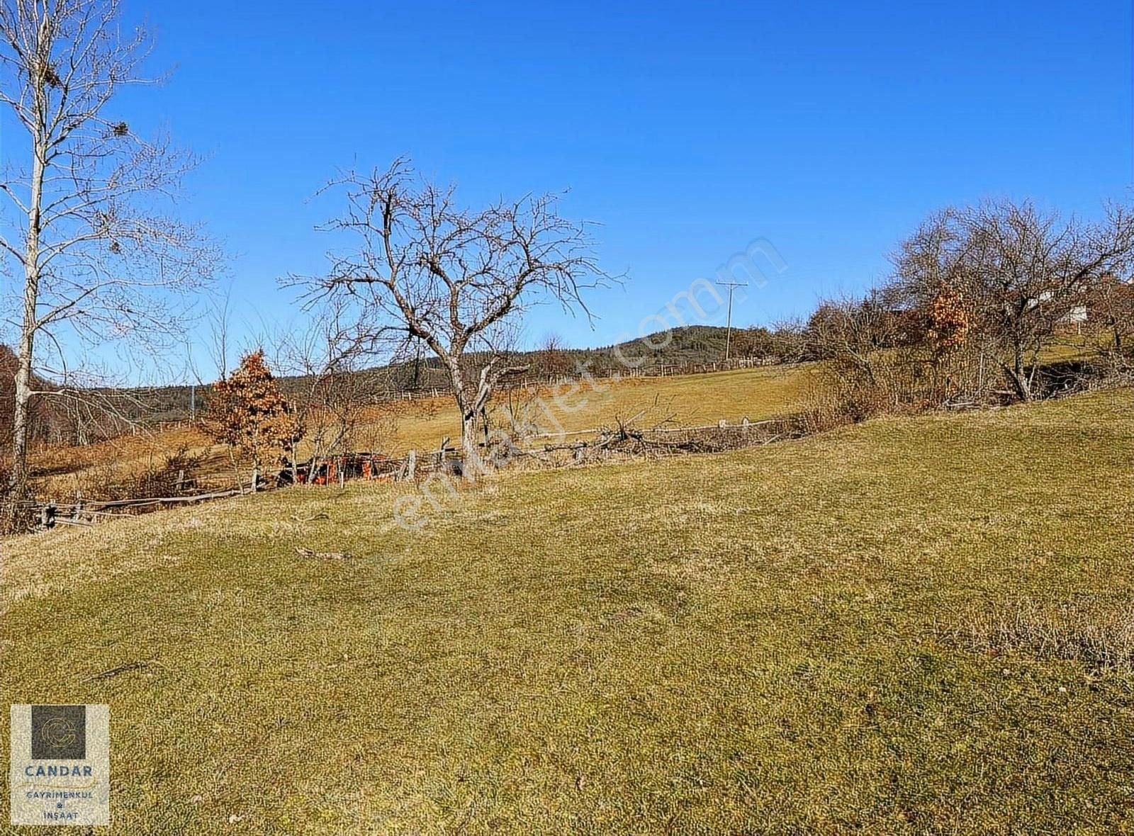Bursa İznik Elmalı Mahallesinde Resmi Konut İmarlı Arsa - Görsel 3